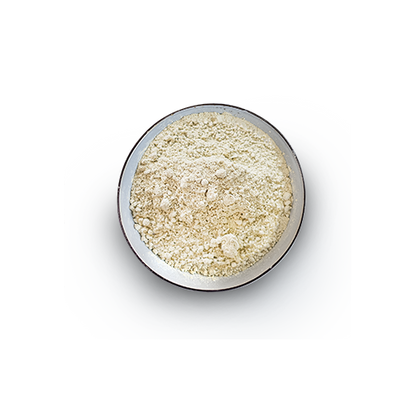 Organic Hemp Gold Protein - 5kg